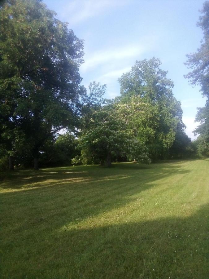 Chateau De Maucouvent Bed & Breakfast Challuy