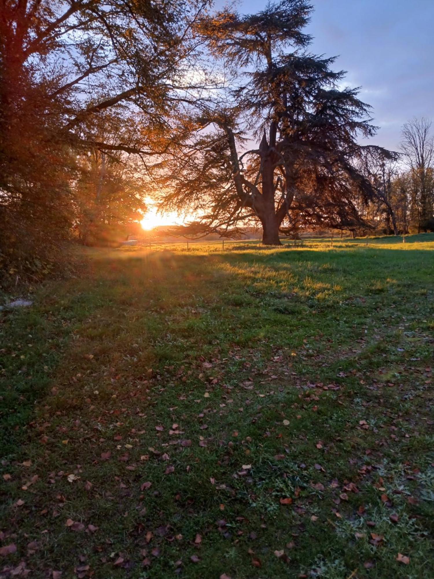 Chateau De Maucouvent Bed & Breakfast *